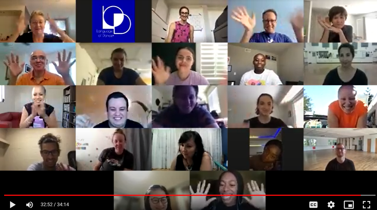 Zoom screenshot from Foundations Online course