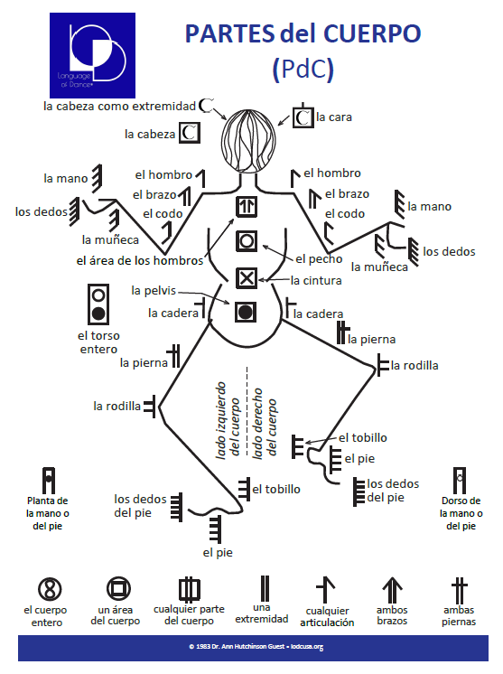 Thumbnail for Parts of the Body Posters Now Available in Spanish!